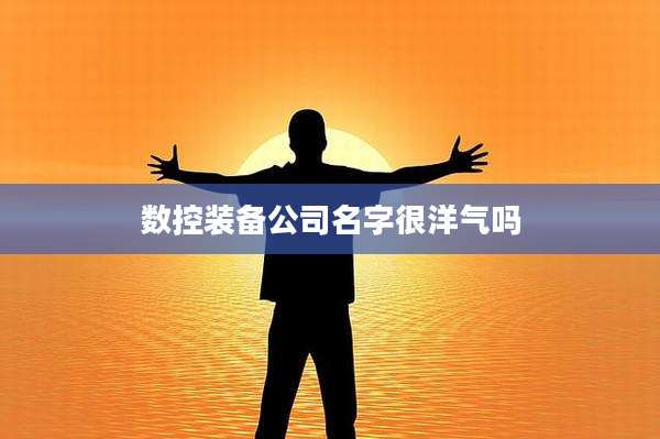 数控装备公司名字很洋气吗