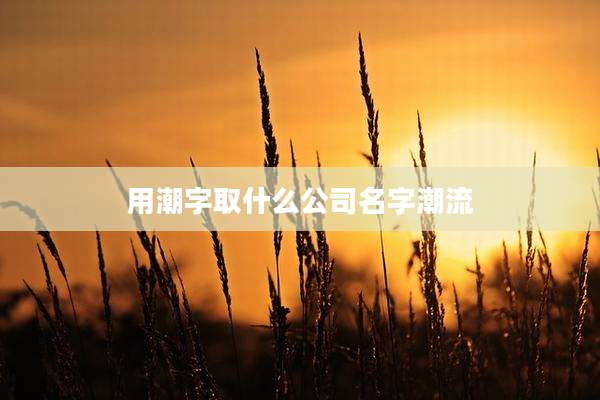用潮字取什么公司名字潮流