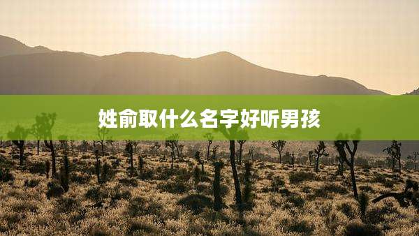 姓俞取什么名字好听男孩