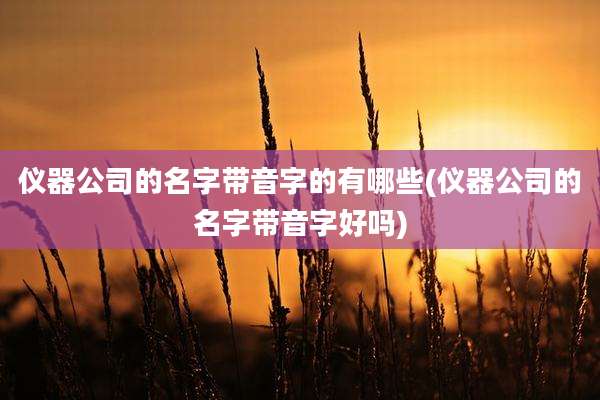 仪器公司的名字带音字的有哪些(仪器公司的名字带音字好吗)