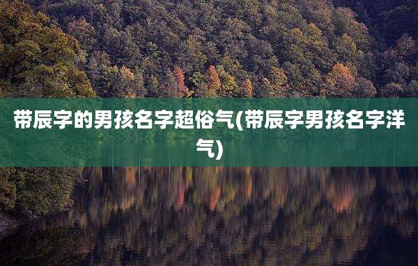 带辰字的男孩名字超俗气(带辰字男孩名字洋气)