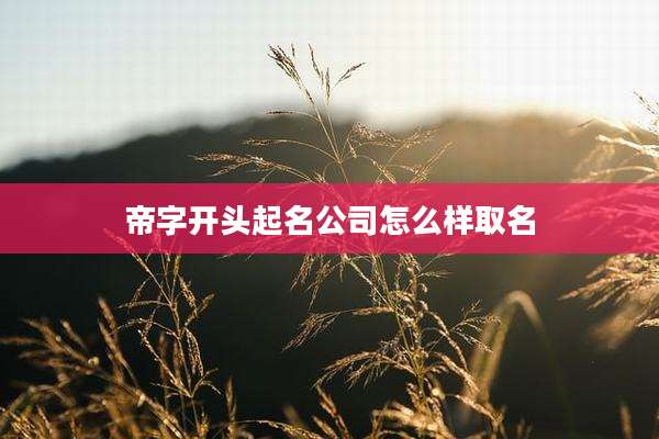 帝字开头起名公司怎么样取名