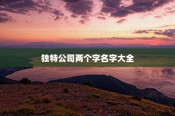 独特公司两个字名字大全