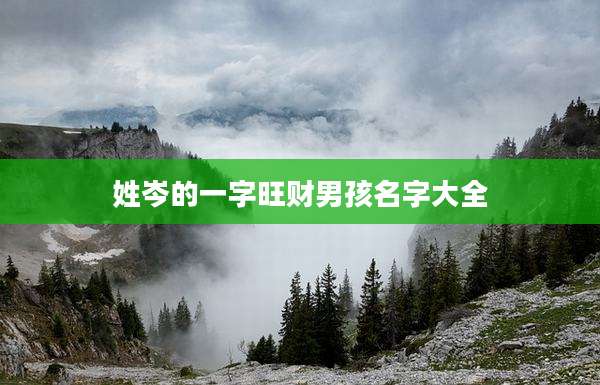 姓岑的一字旺财男孩名字大全