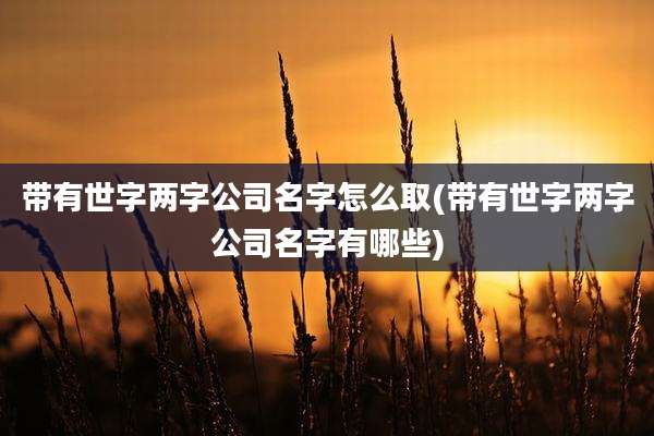 带有世字两字公司名字怎么取(带有世字两字公司名字有哪些)