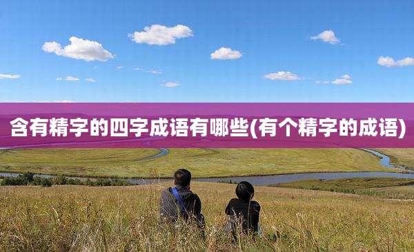 含有精字的四字成语有哪些(有个精字的成语)