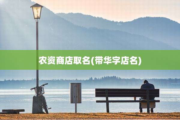 农资商店取名(带华字店名)