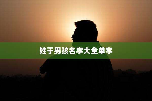 姓于男孩名字大全单字