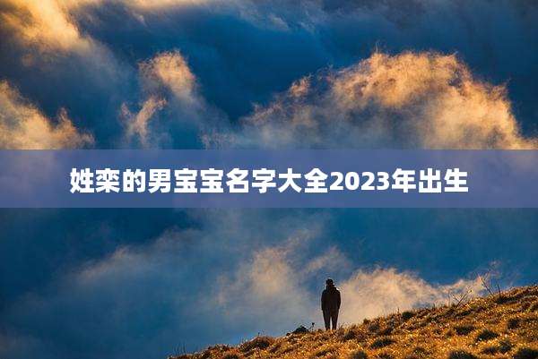 姓栾的男宝宝名字大全2023年出生