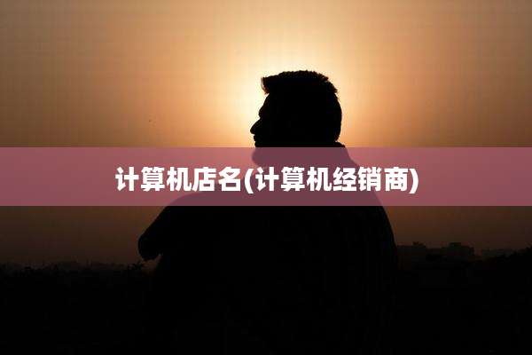 计算机店名(计算机经销商)