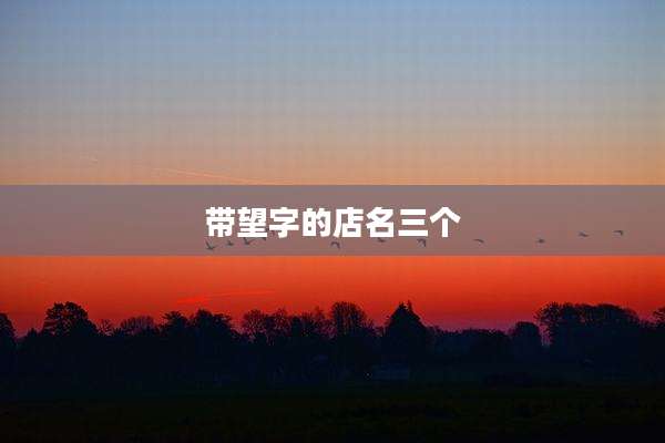 带望字的店名三个