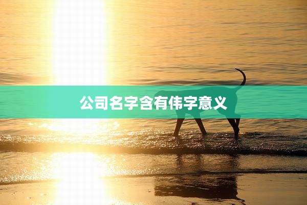 公司名字含有伟字意义