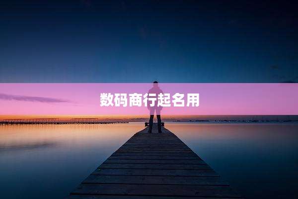 数码商行起名用