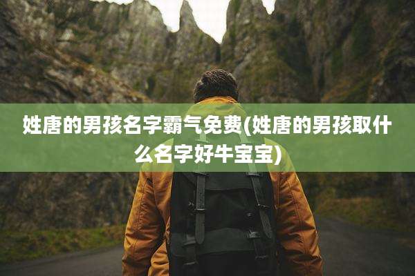 姓唐的男孩名字霸气免费(姓唐的男孩取什么名字好牛宝宝)