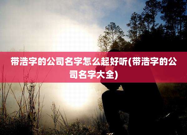 带浩字的公司名字怎么起好听(带浩字的公司名字大全)