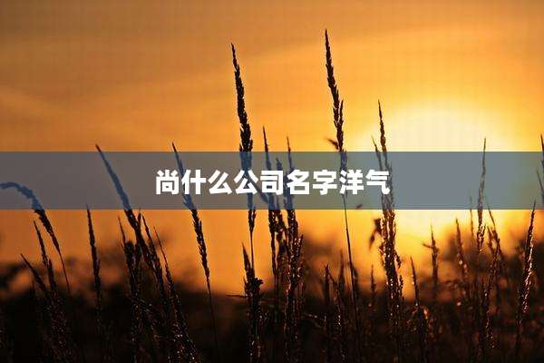 尚什么公司名字洋气