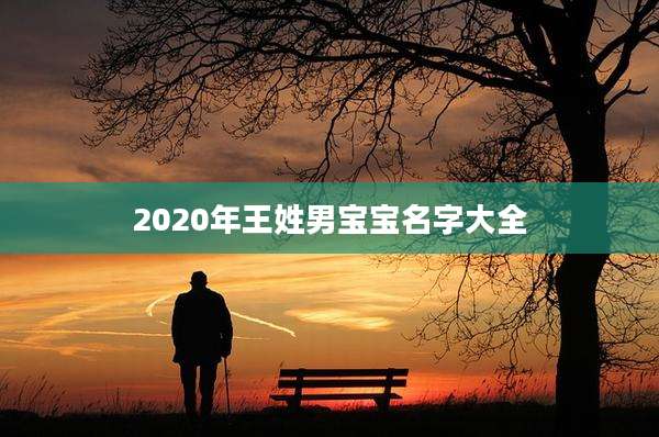 2020年王姓男宝宝名字大全