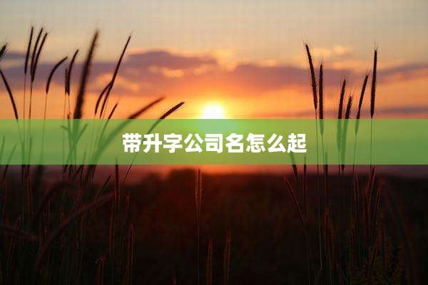 带升字公司名怎么起