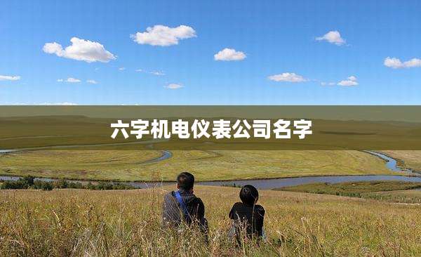 六字机电仪表公司名字
