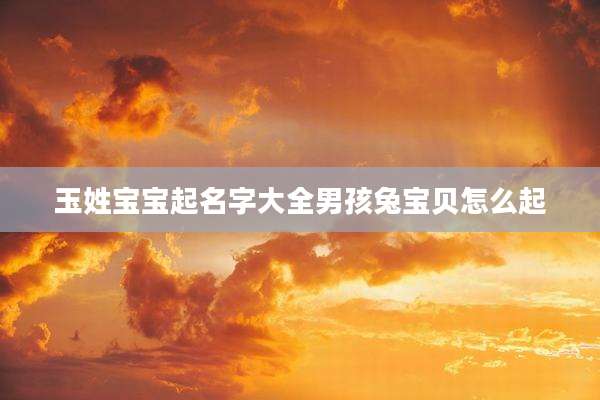 玉姓宝宝起名字大全男孩兔宝贝怎么起