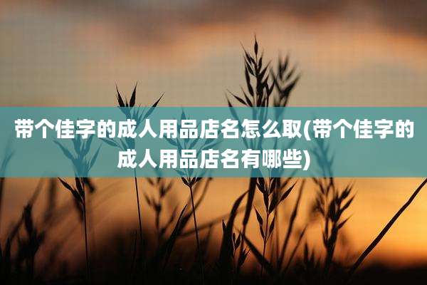 带个佳字的成人用品店名怎么取(带个佳字的成人用品店名有哪些)