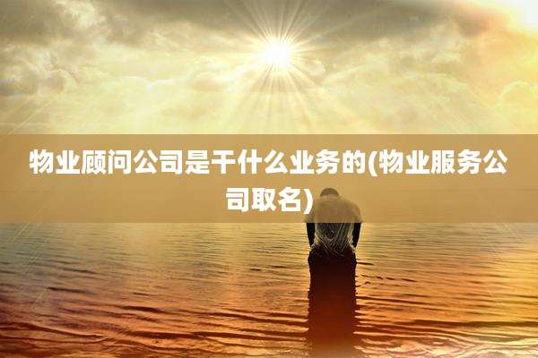 物业顾问公司是干什么业务的(物业服务公司取名)