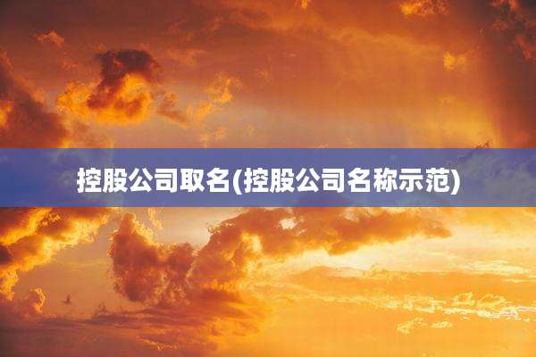 控股公司取名(控股公司名称示范)