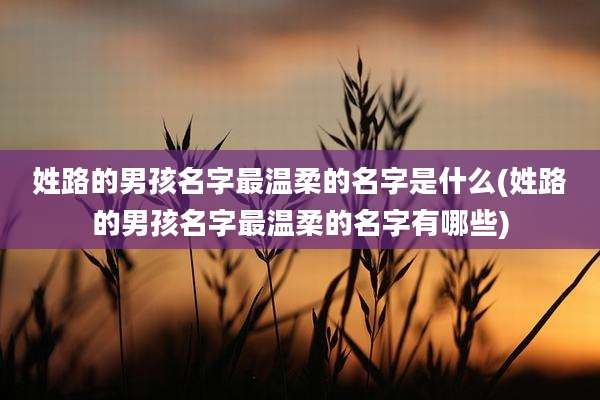 姓路的男孩名字最温柔的名字是什么(姓路的男孩名字最温柔的名字有哪些)