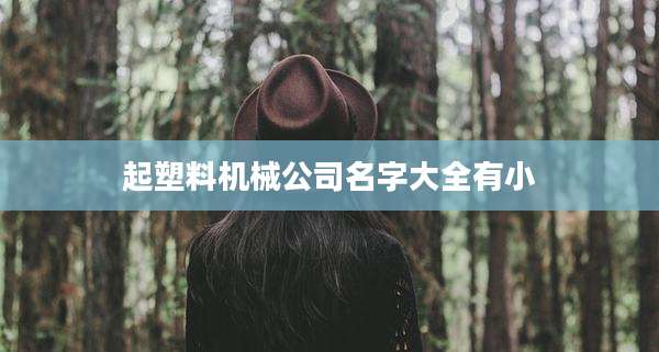 起塑料机械公司名字大全有小