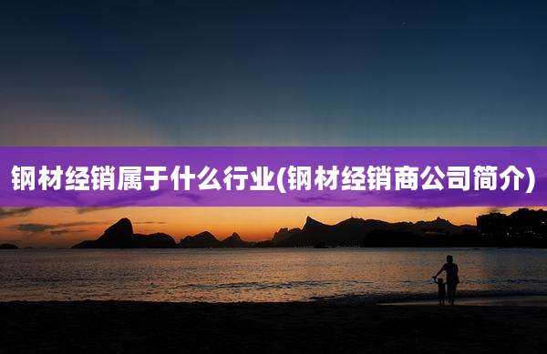 钢材经销属于什么行业(钢材经销商公司简介)