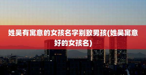 姓吴有寓意的女孩名字别致男孩(姓吴寓意好的女孩名)