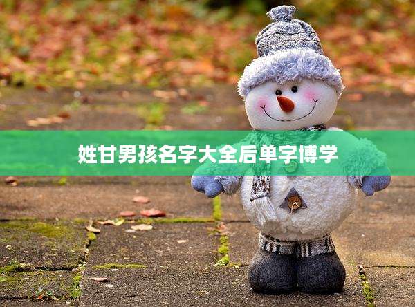 姓甘男孩名字大全后单字博学