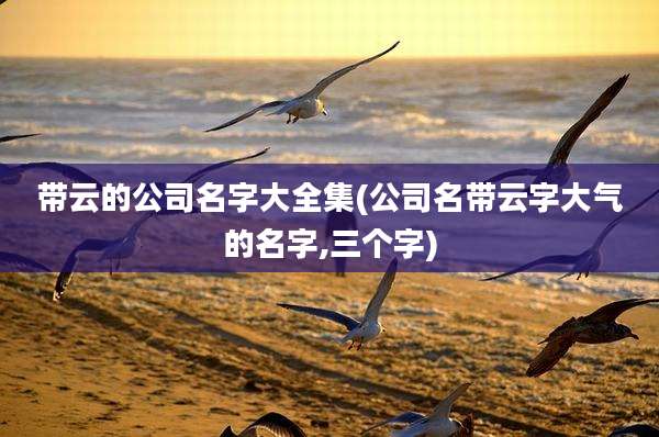 带云的公司名字大全集(公司名带云字大气的名字,三个字)