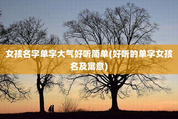 女孩名字单字大气好听简单(好听的单字女孩名及寓意)
