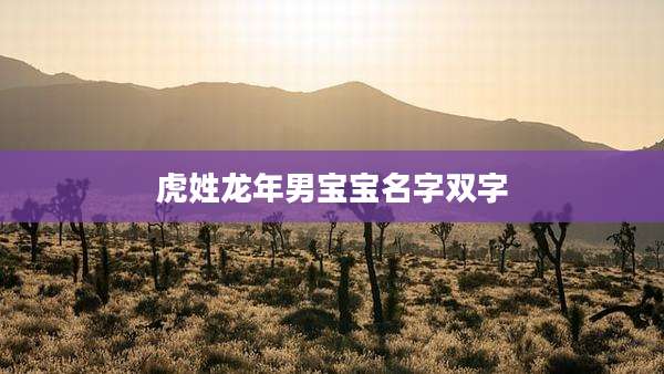 虎姓龙年男宝宝名字双字