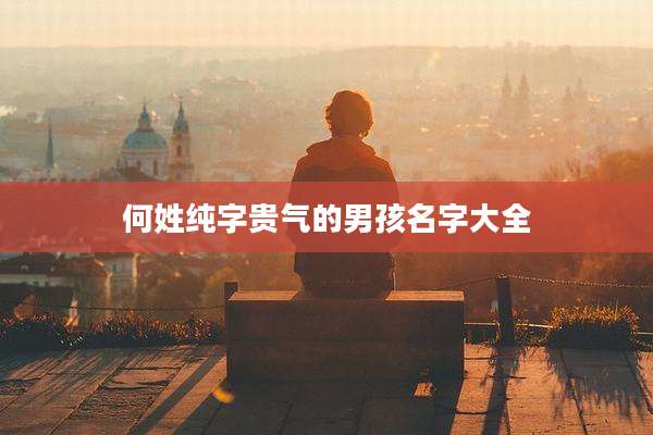 何姓纯字贵气的男孩名字大全