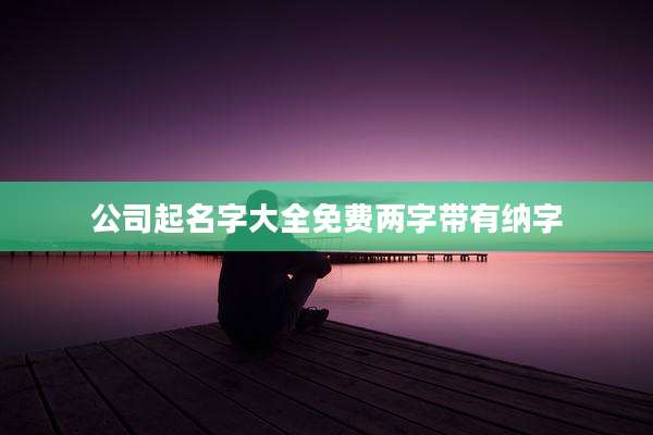 公司起名字大全免费两字带有纳字