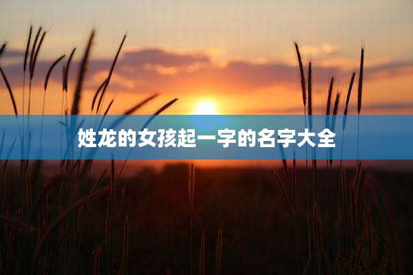 姓龙的女孩起一字的名字大全