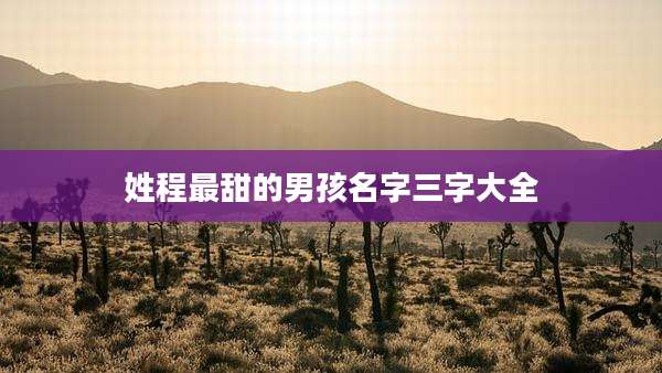姓程最甜的男孩名字三字大全