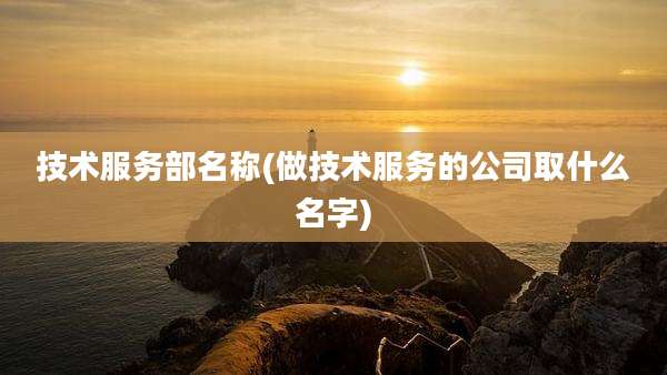 技术服务部名称(做技术服务的公司取什么名字)