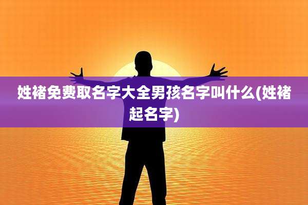 姓褚免费取名字大全男孩名字叫什么(姓褚起名字)