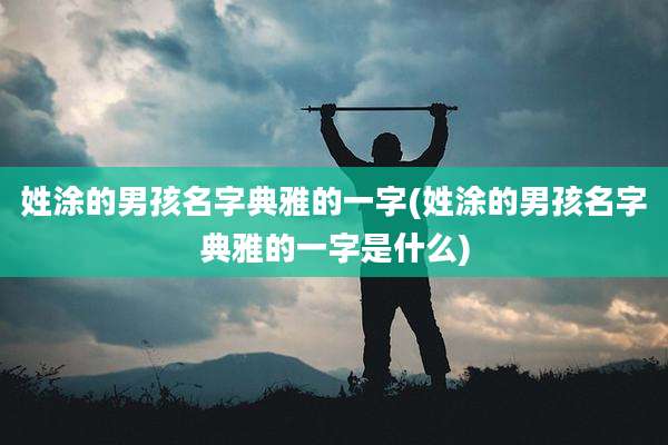 姓涂的男孩名字典雅的一字(姓涂的男孩名字典雅的一字是什么)