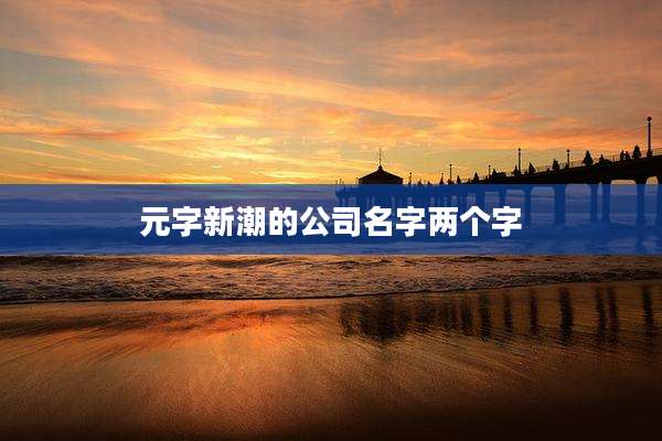 元字新潮的公司名字两个字