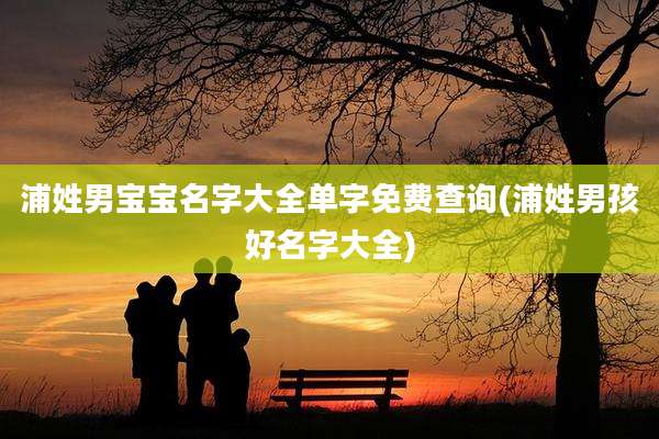 浦姓男宝宝名字大全单字免费查询(浦姓男孩好名字大全)