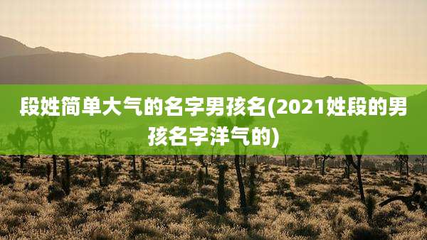 段姓简单大气的名字男孩名(2021姓段的男孩名字洋气的)
