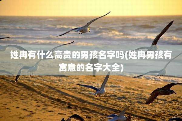 姓冉有什么高贵的男孩名字吗(姓冉男孩有寓意的名字大全)
