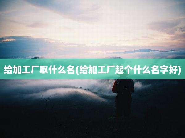给加工厂取什么名(给加工厂起个什么名字好)