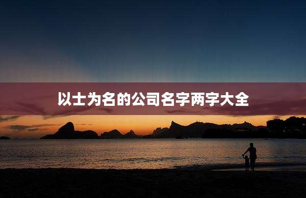 以士为名的公司名字两字大全