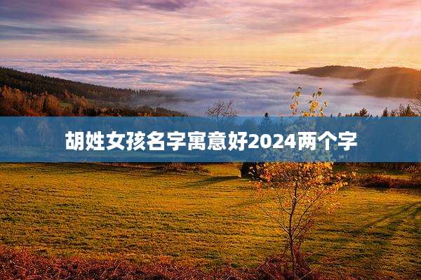 胡姓女孩名字寓意好2024两个字