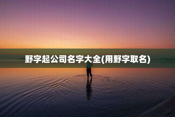 野字起公司名字大全(用野字取名)